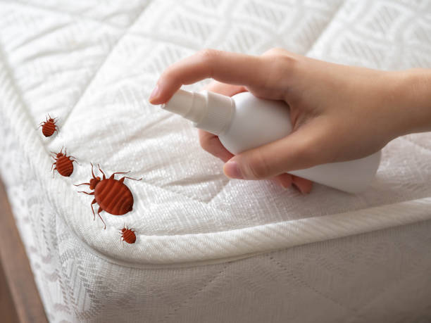 Emergency Pest Control in Fairbury, IL